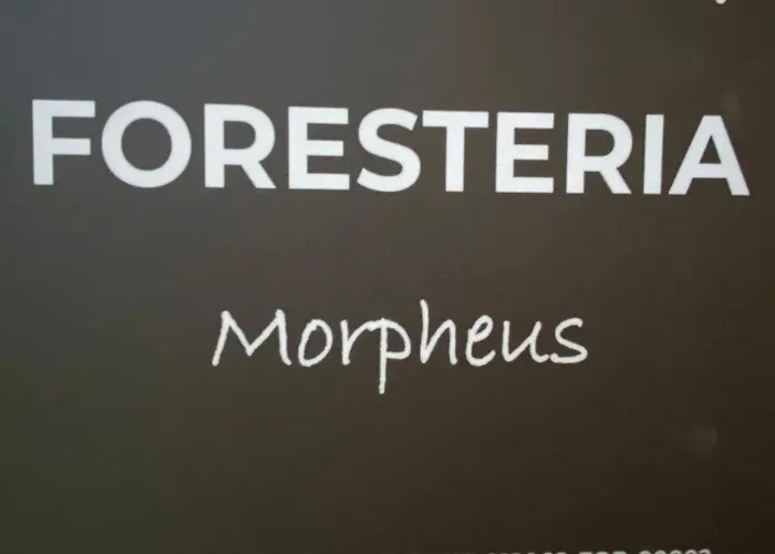 Morpheus * Ferno